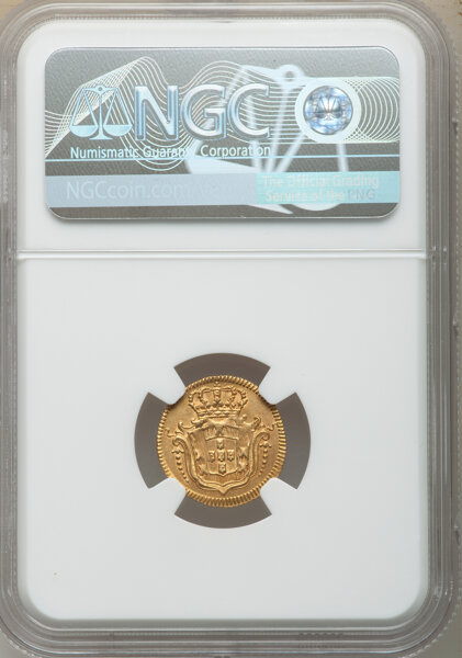 lf - 2023-05-24T061745.920.jpg
