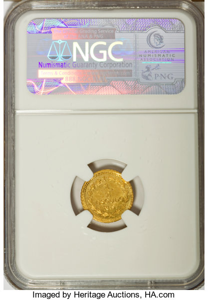 lf - 2023-06-20T065000.595.jpg