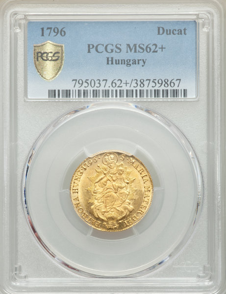 lf - 2023-12-12T215820.028.jpg