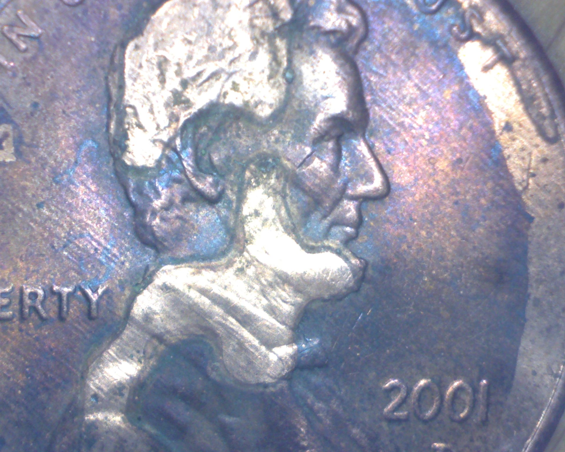 Lface01.jpg