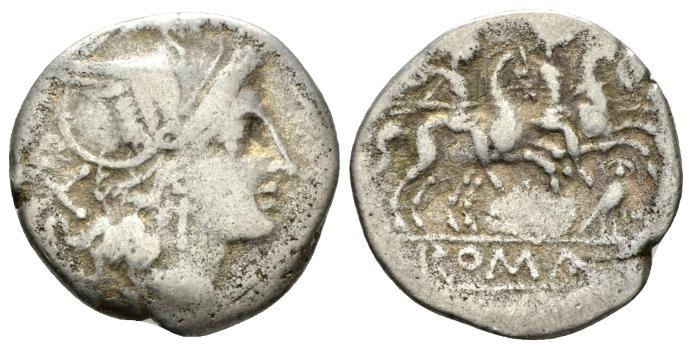 lg_OwlDenarius.jpg