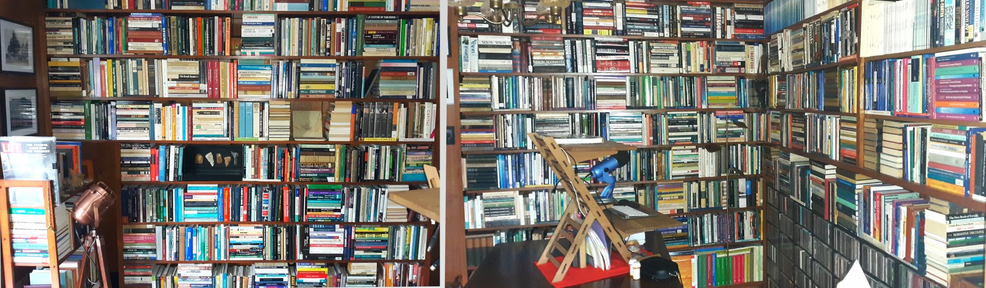 Library Soc Sci Collage 2-b.jpg