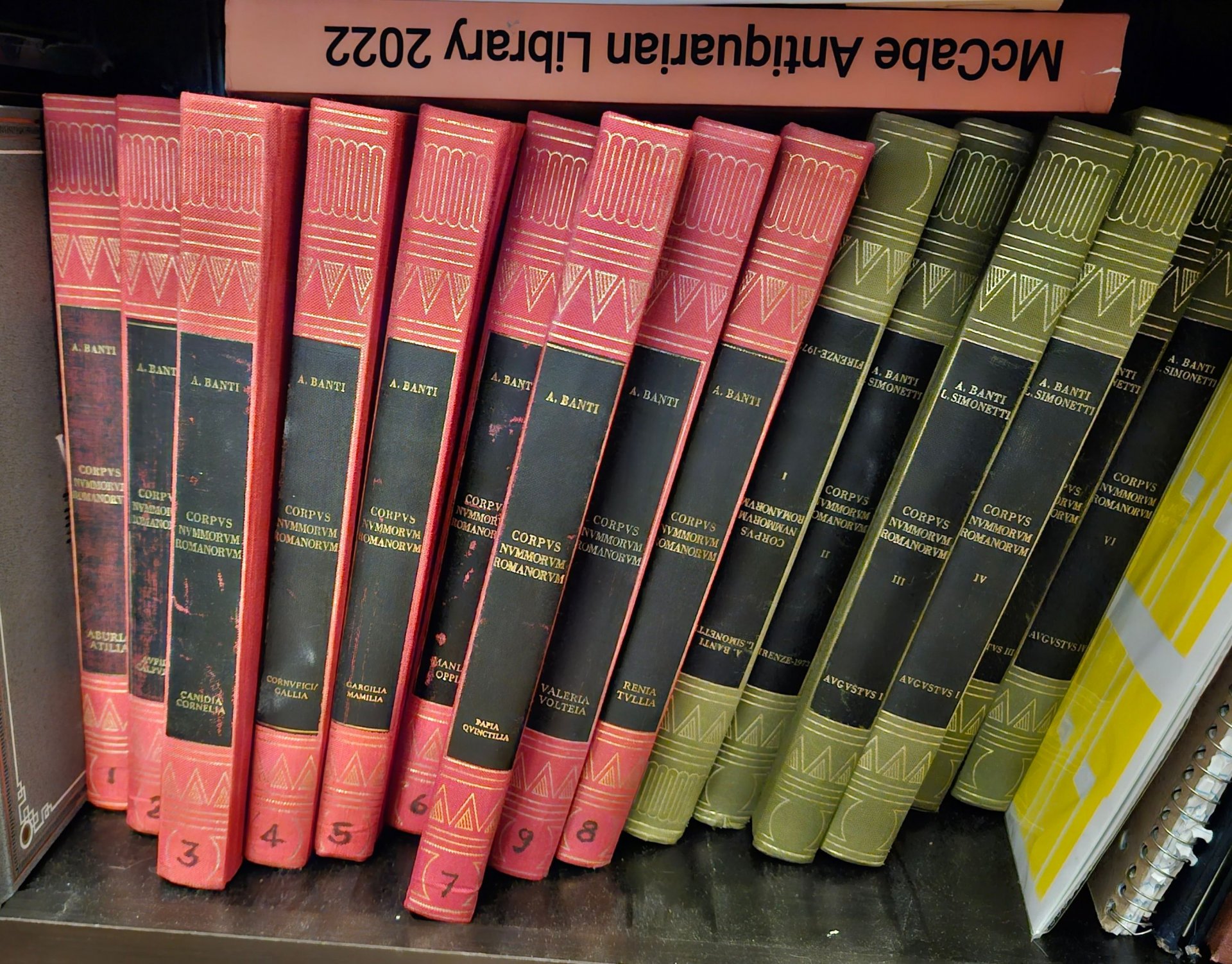 library2.jpeg