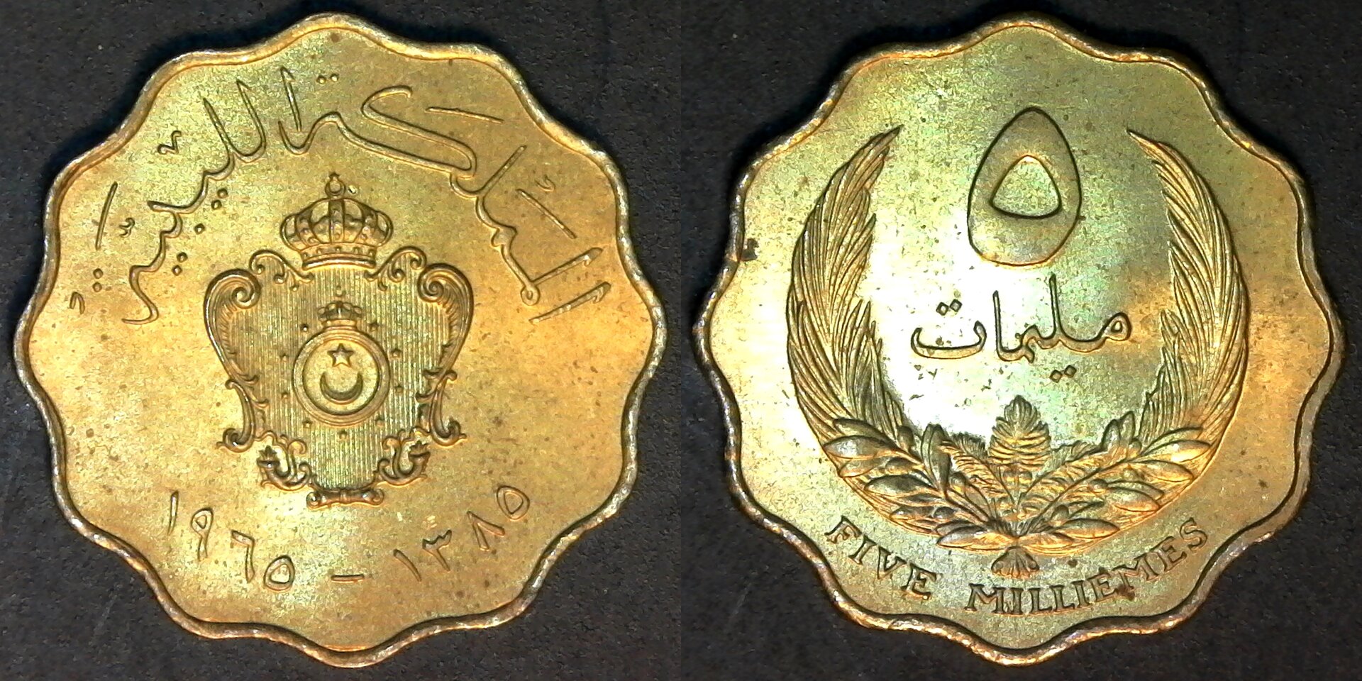 Libya 5 Milliemes 1965 obv-side.jpg