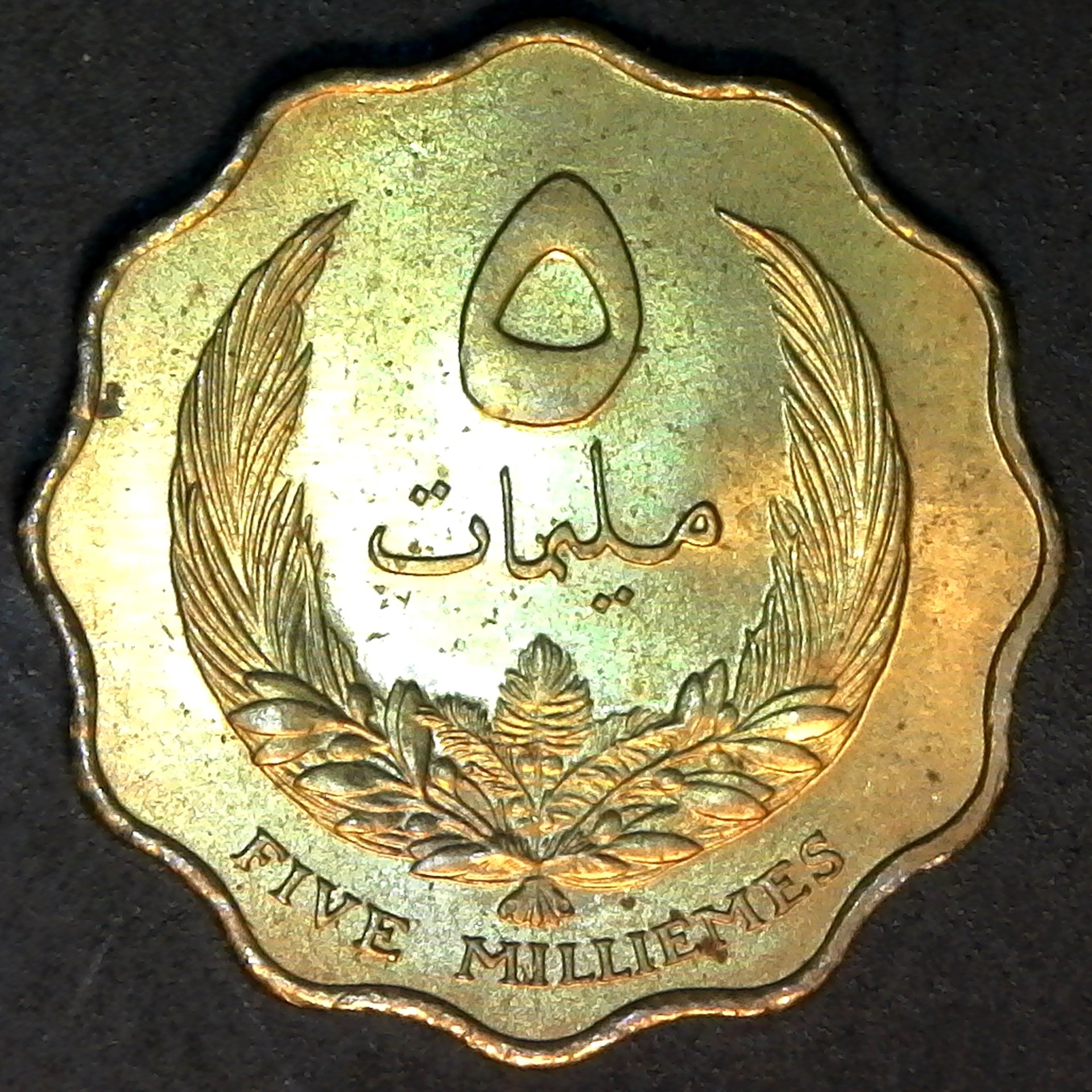 Libya 5 Milliemes 1965 rev.jpg