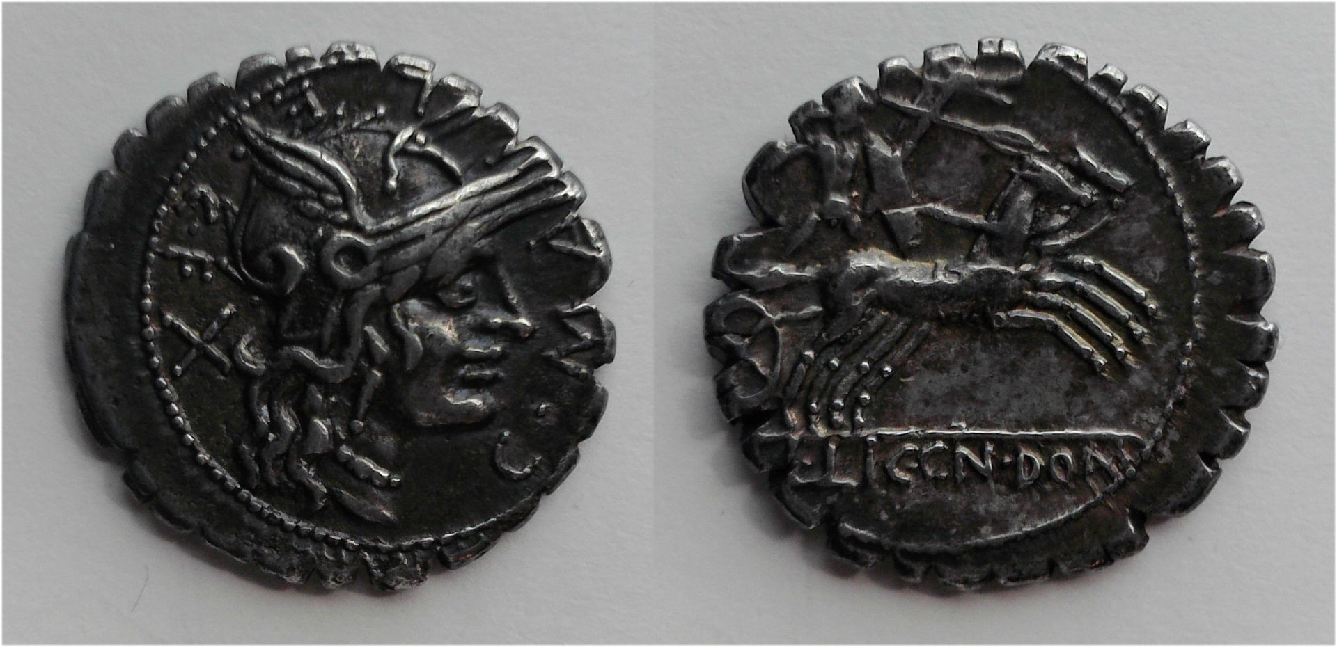 Licinia 13 denarius.jpg