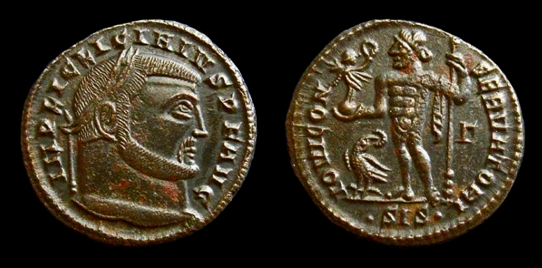 liciniusfollis.jpg