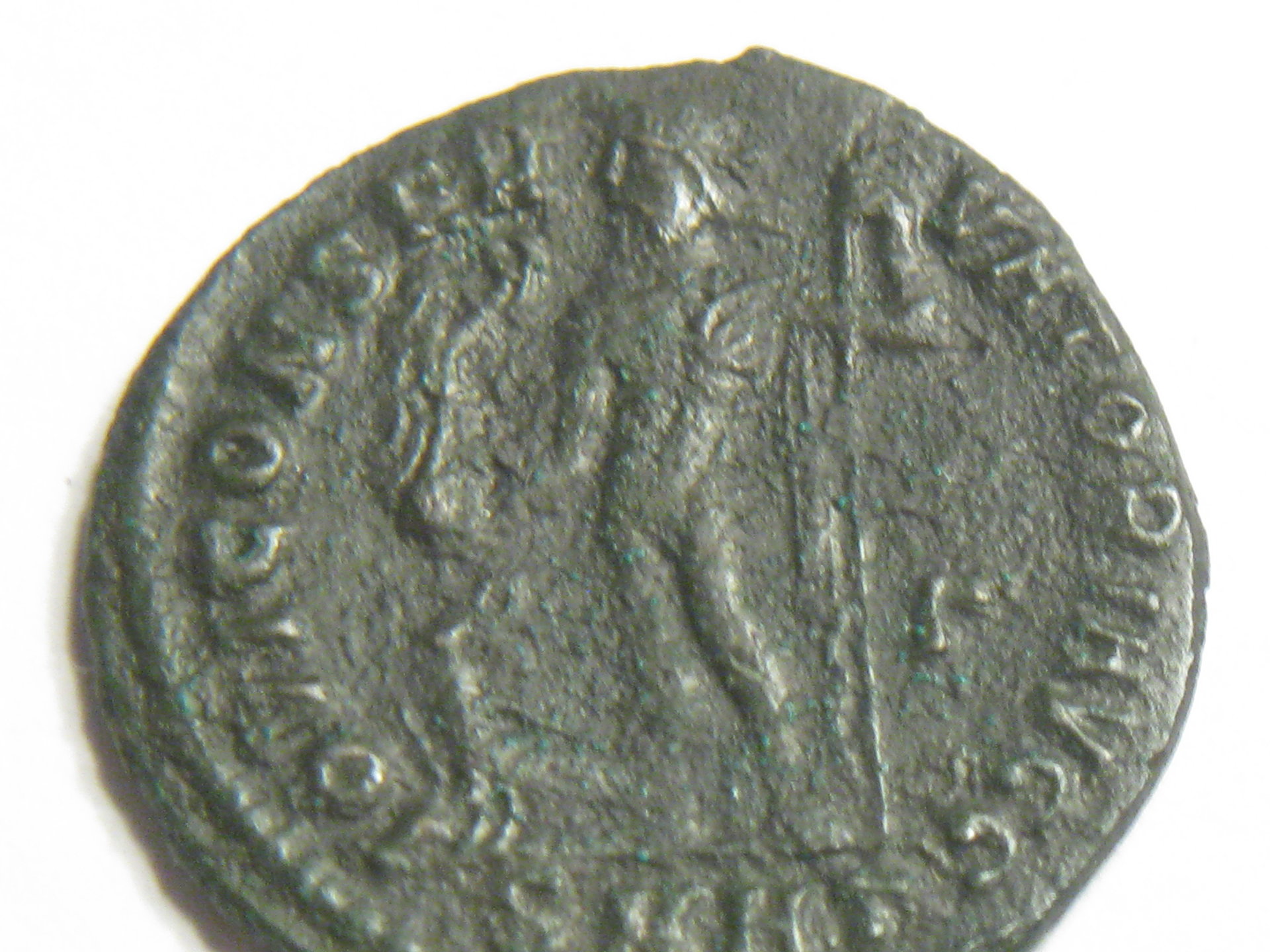 licinus follis 003.JPG