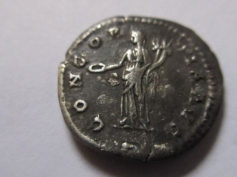 lifetime faust 1 reverse.JPG