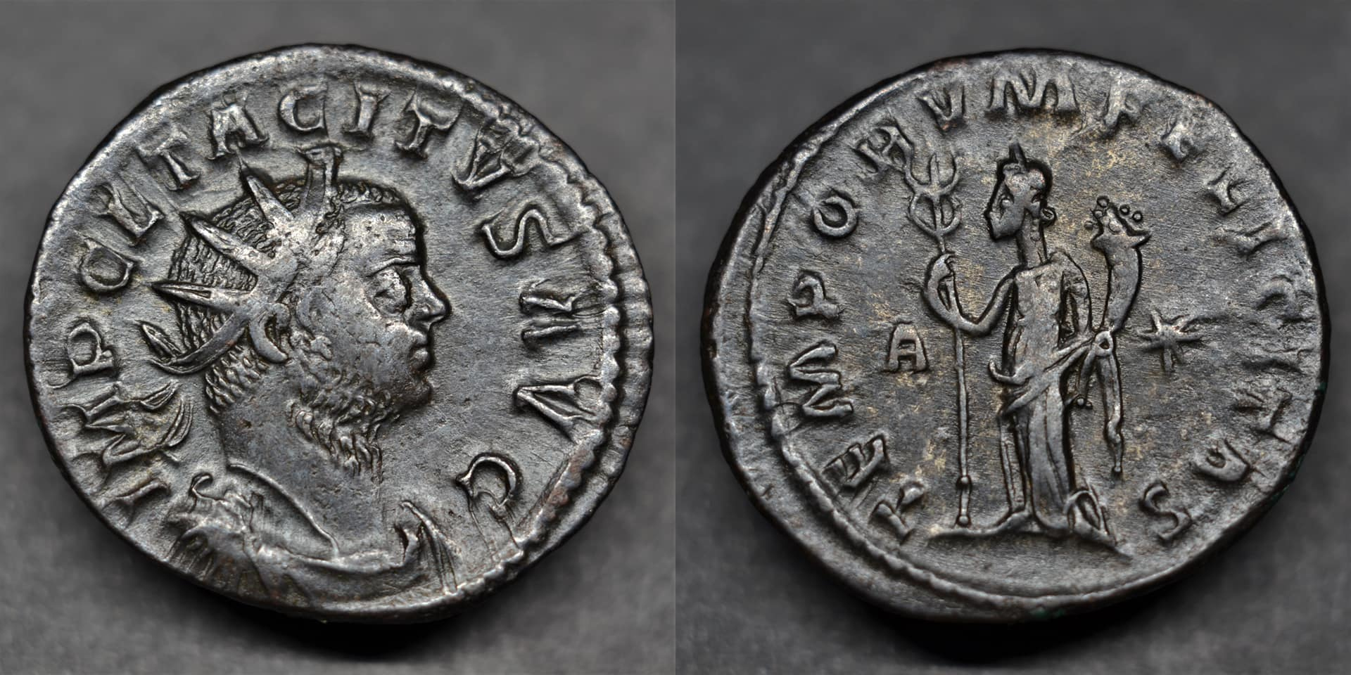 lightened COMBINED Tacitus antoninianus.jpg