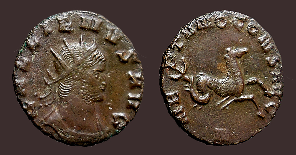 Lightened Gallienus Ant Hippocamp jpg.jpg