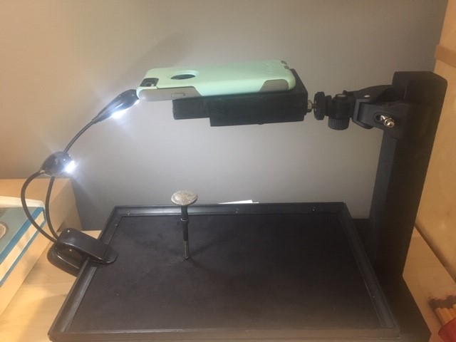 Lights.jpg