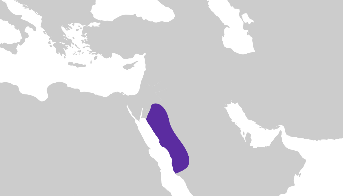 lihyan kingdom.2 Map.jpg