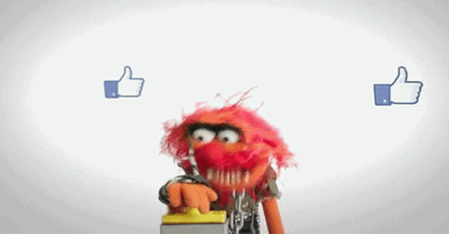 like-muppet.gif