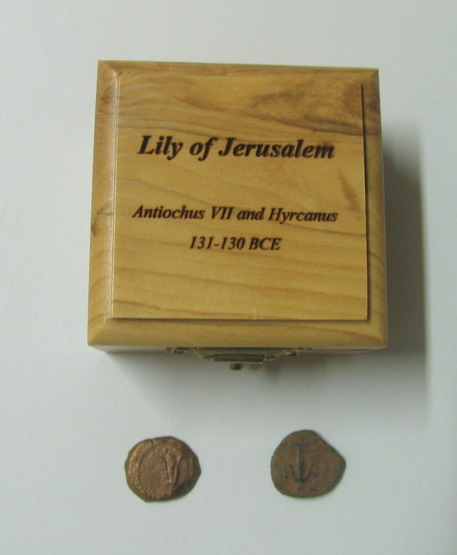Lily of Jerusalem.jpg