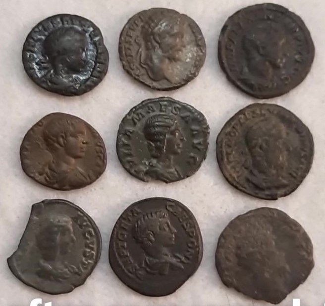 Limes vs Silver Denarius Captions 12s_Moment 5 crop.jpg