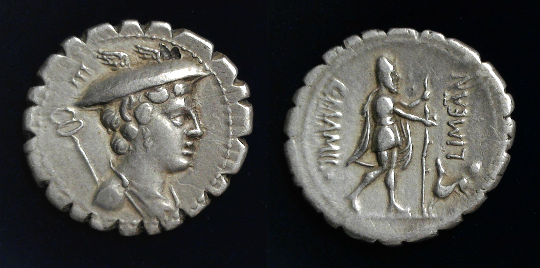 Limetanus Ulysses 2.jpg