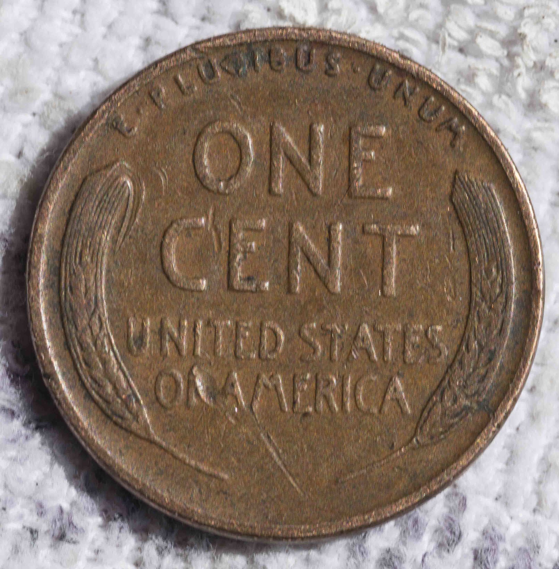 limp wheat 1935 reverse.jpg