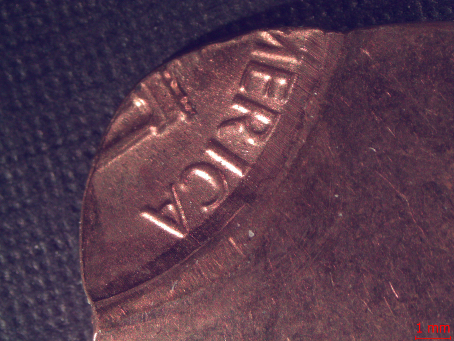 Lincoln Cent, 1981, off center, reverse, zoom 100%.jpg