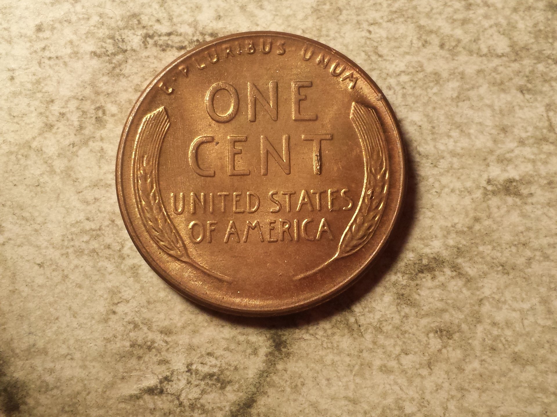 lincoln wheat 004.jpg