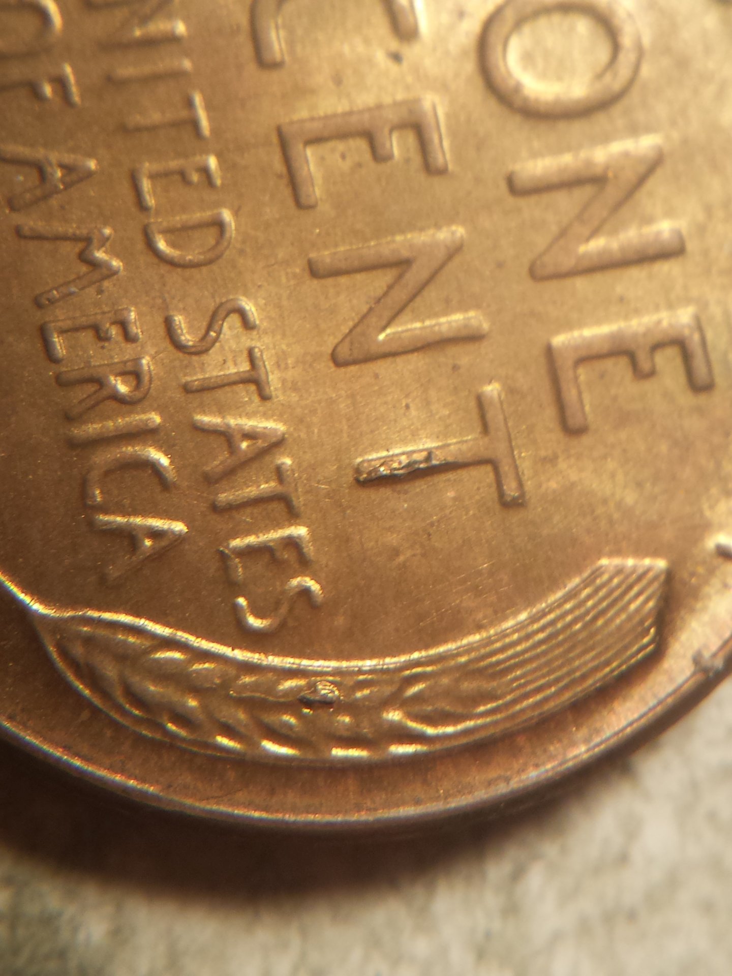 lincoln wheat 005.jpg