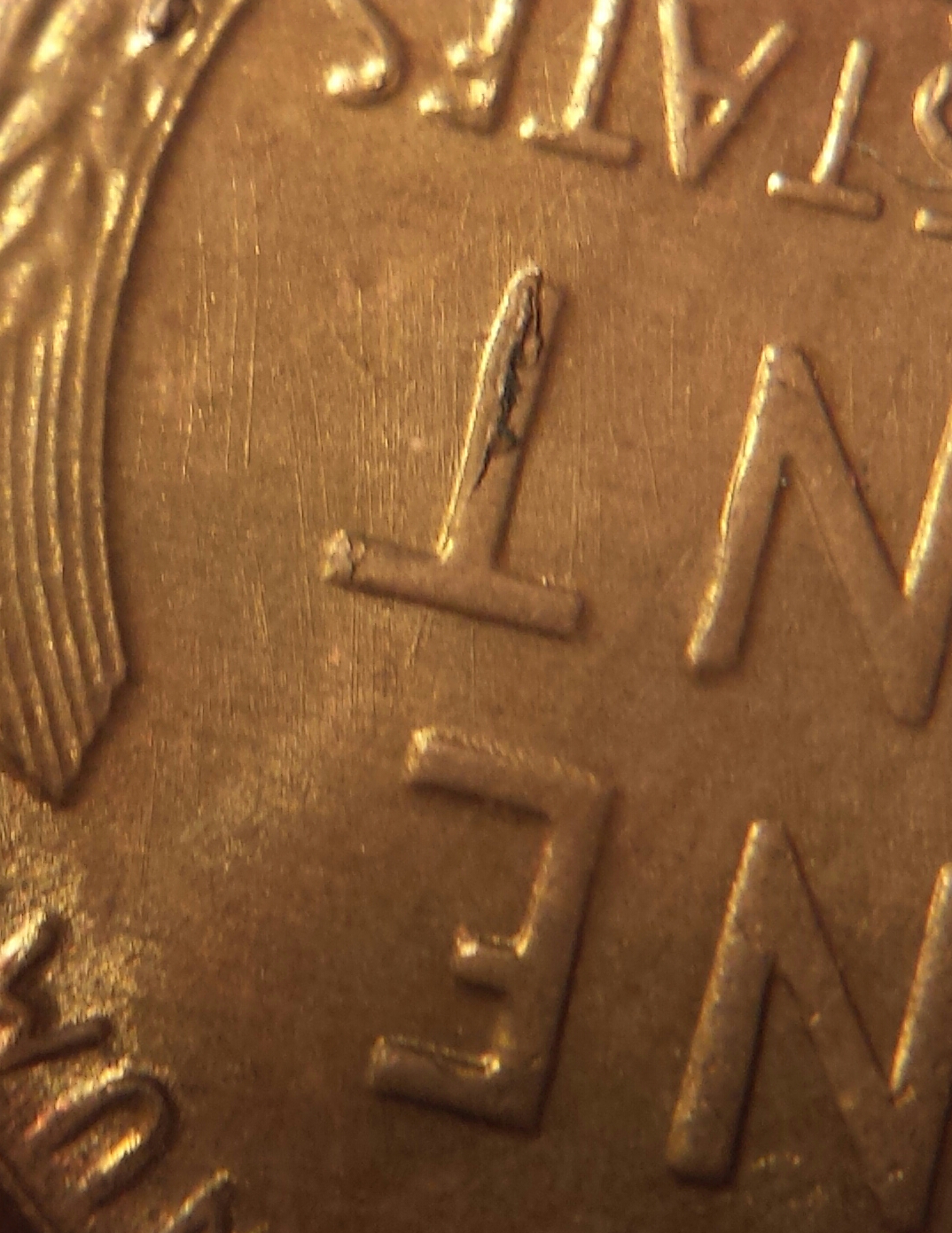 lincoln wheat 011.jpg