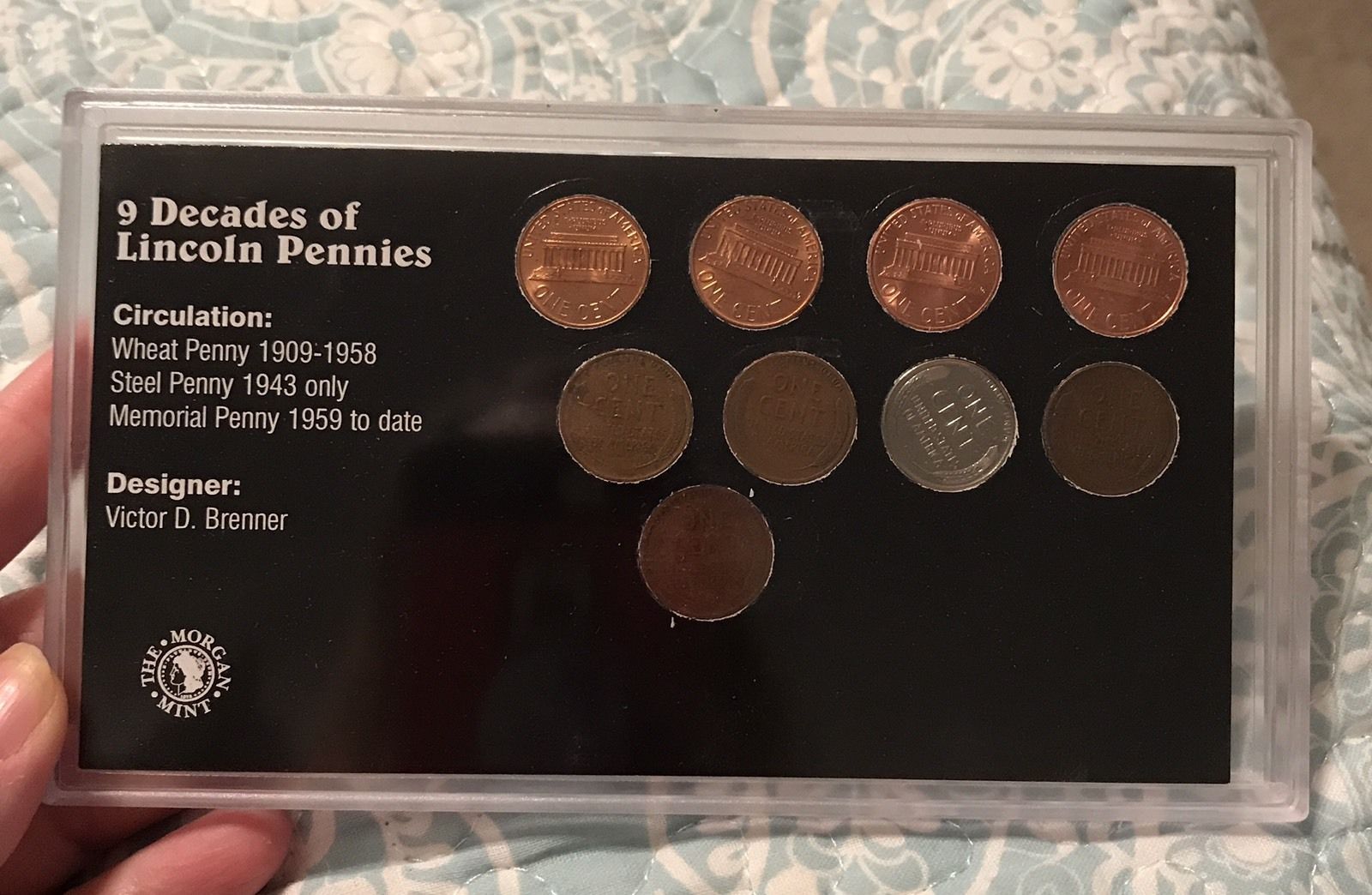 lincolnback.JPG