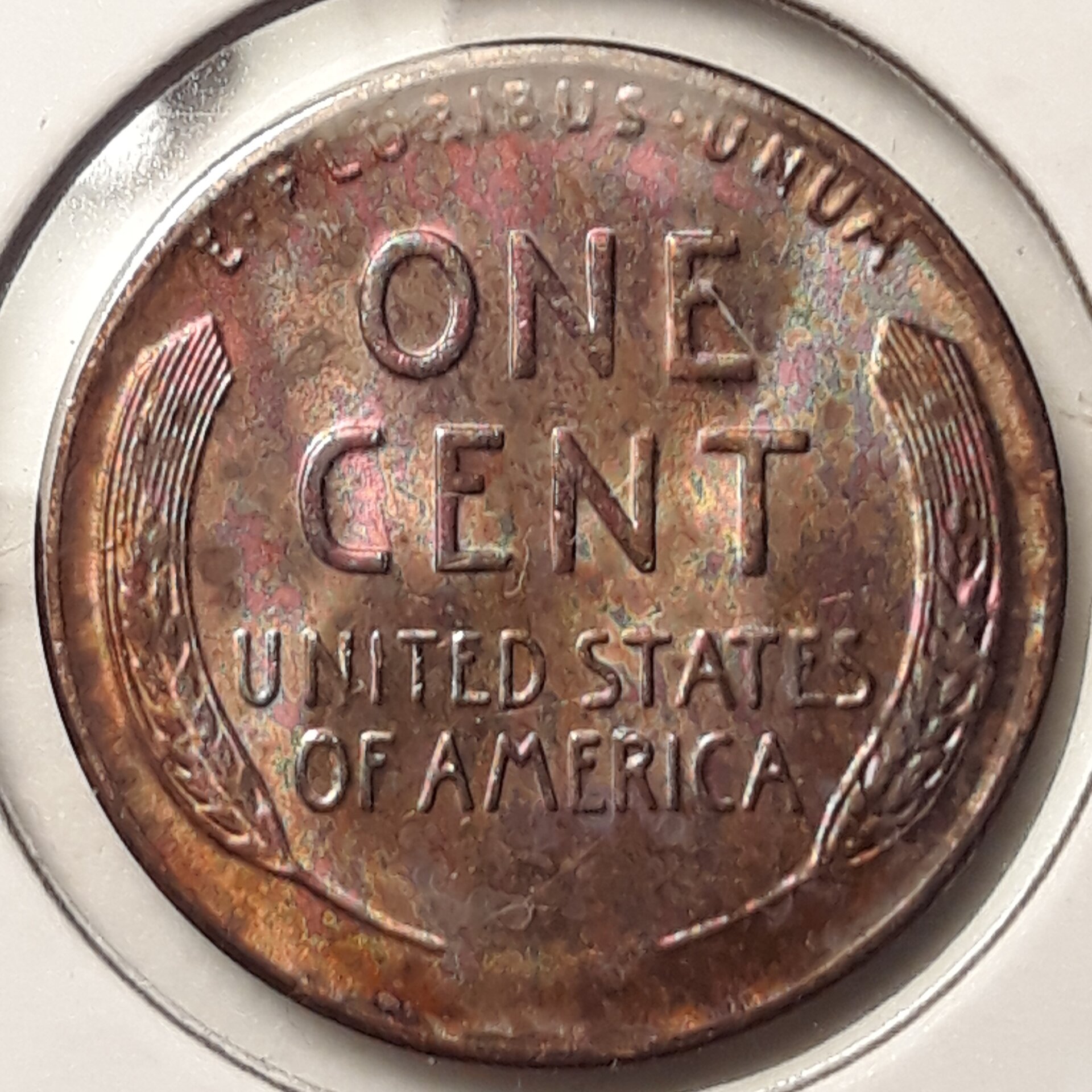 LincolnCent1954SREV01.jpg