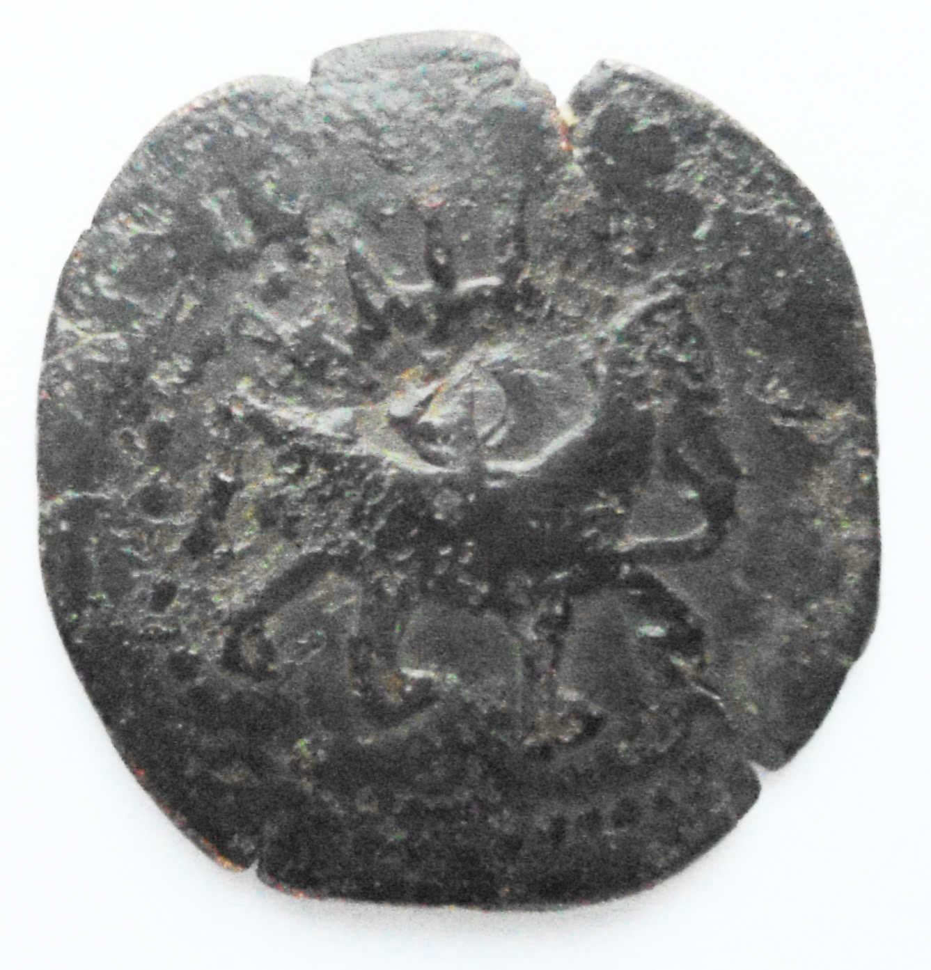 LioCro R.JPG
