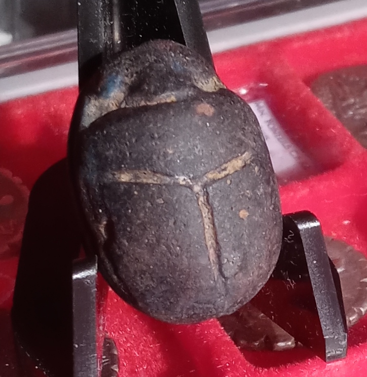 Lion & sun disk scarab, top side 3.jpg