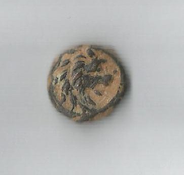 LionO Ant 7.jpg