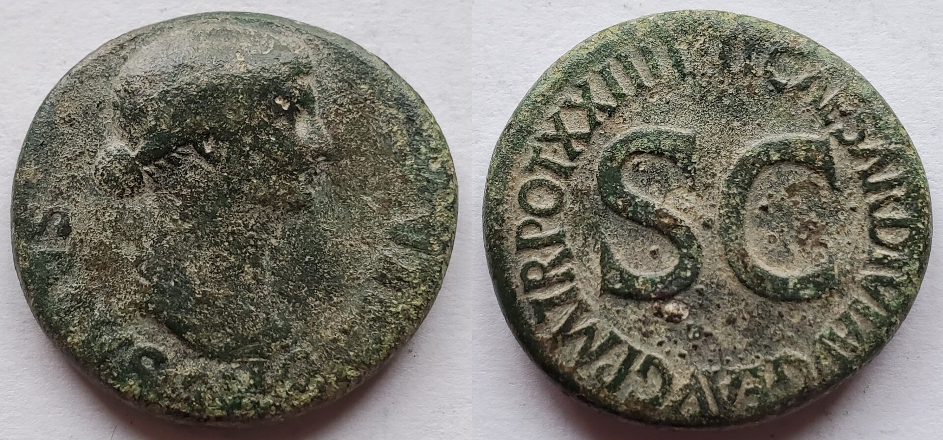 Livia AE As SALVS AVGVSTA by Tiberius.jpg