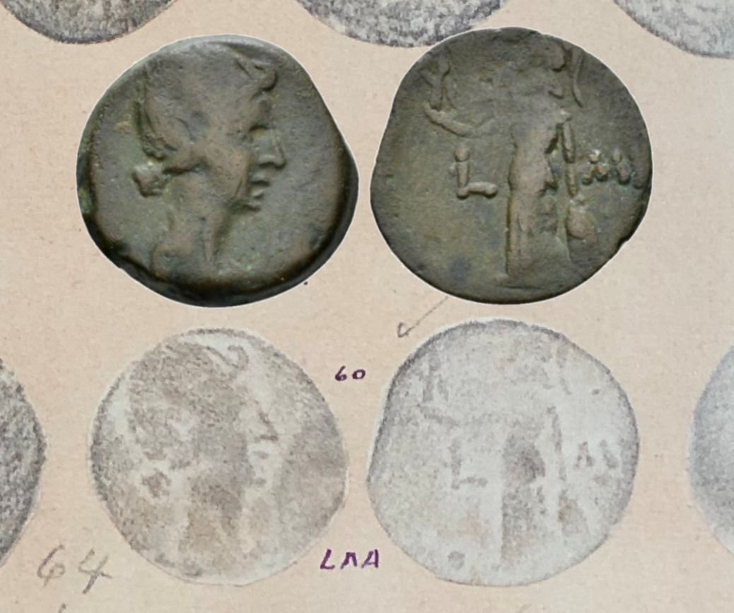 Livia.jpg