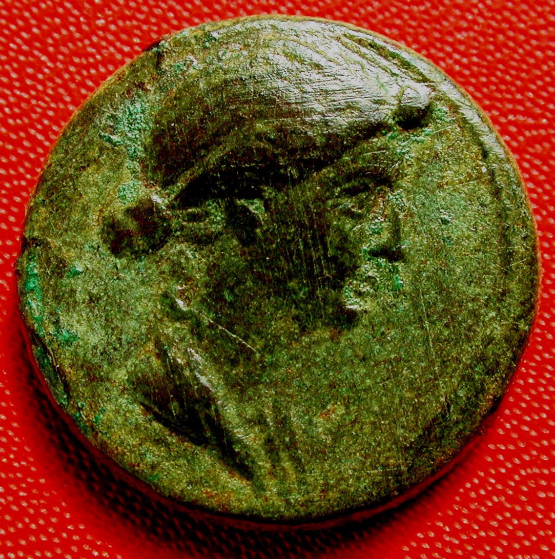 Livia.jpg