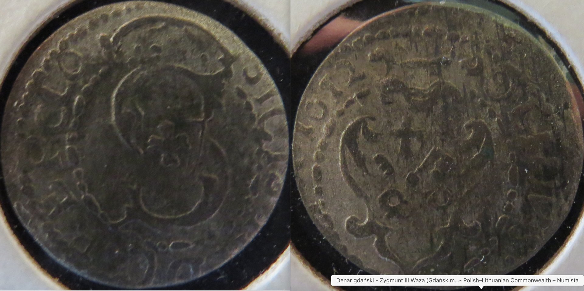 Livonia 1612 Solidus Sigismund III Vasa Polish Rule copy.jpeg