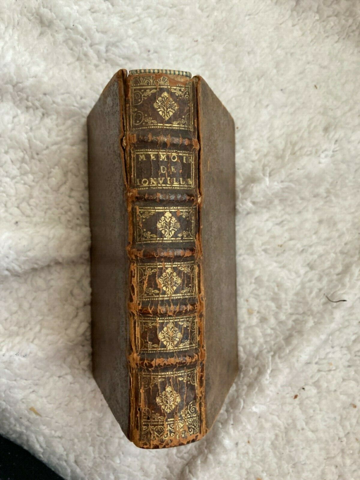 LIVRE, JOINVILLE 1666, SPINE.jpg