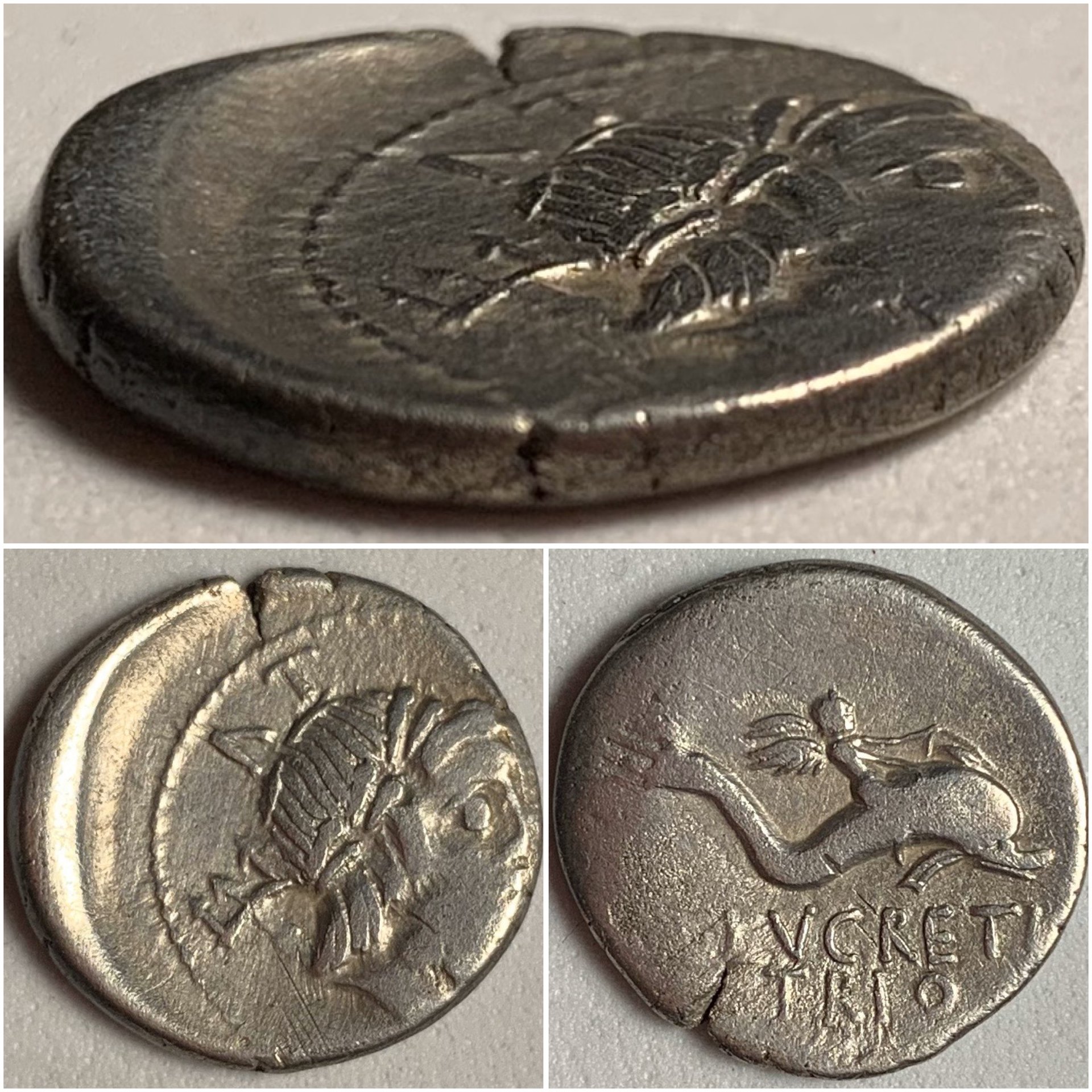 LLucretiusTrioCR390-2.JPG