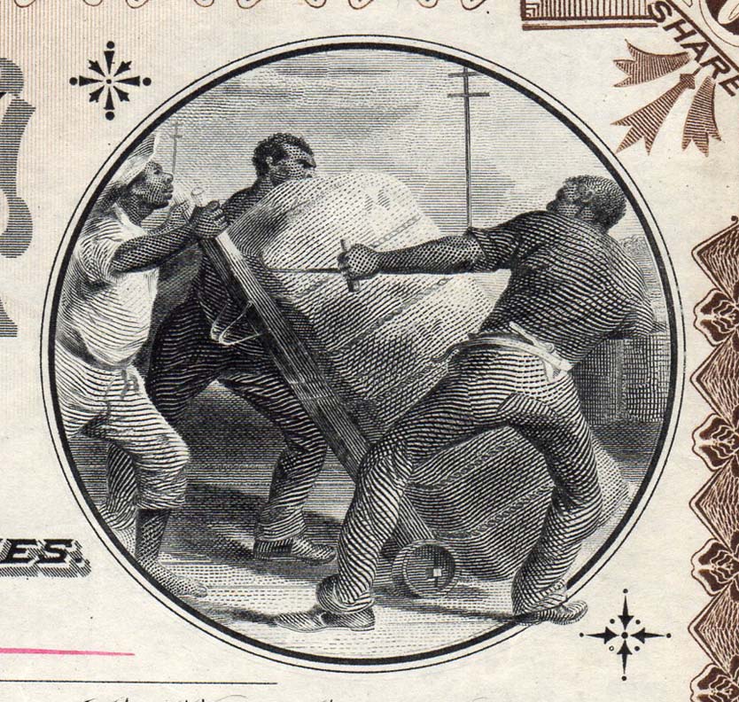 Loading cotton.jpg