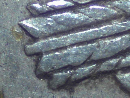Long-nock.jpg