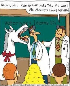 Look a Gift Horse in the mouth.jpg