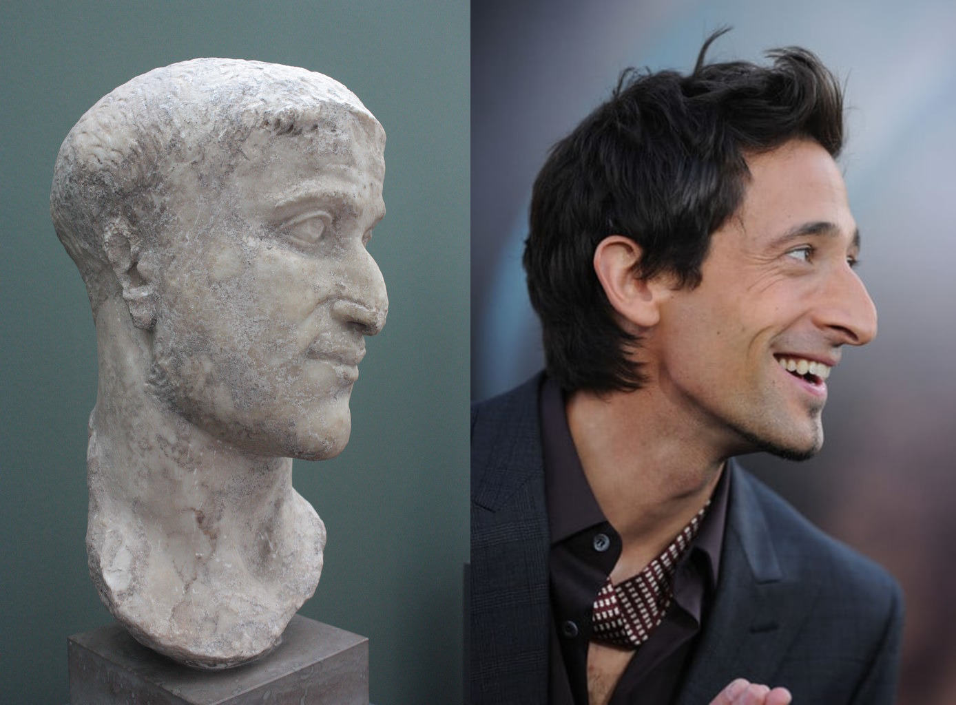 Look alikes.jpg