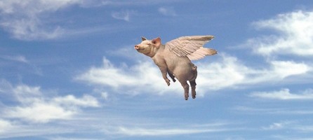 Look-flying-pigs-51794-e1315601783379.jpg