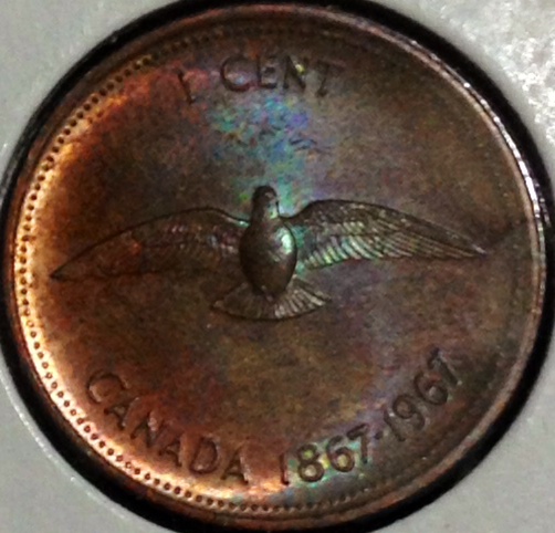 Loonie.JPG