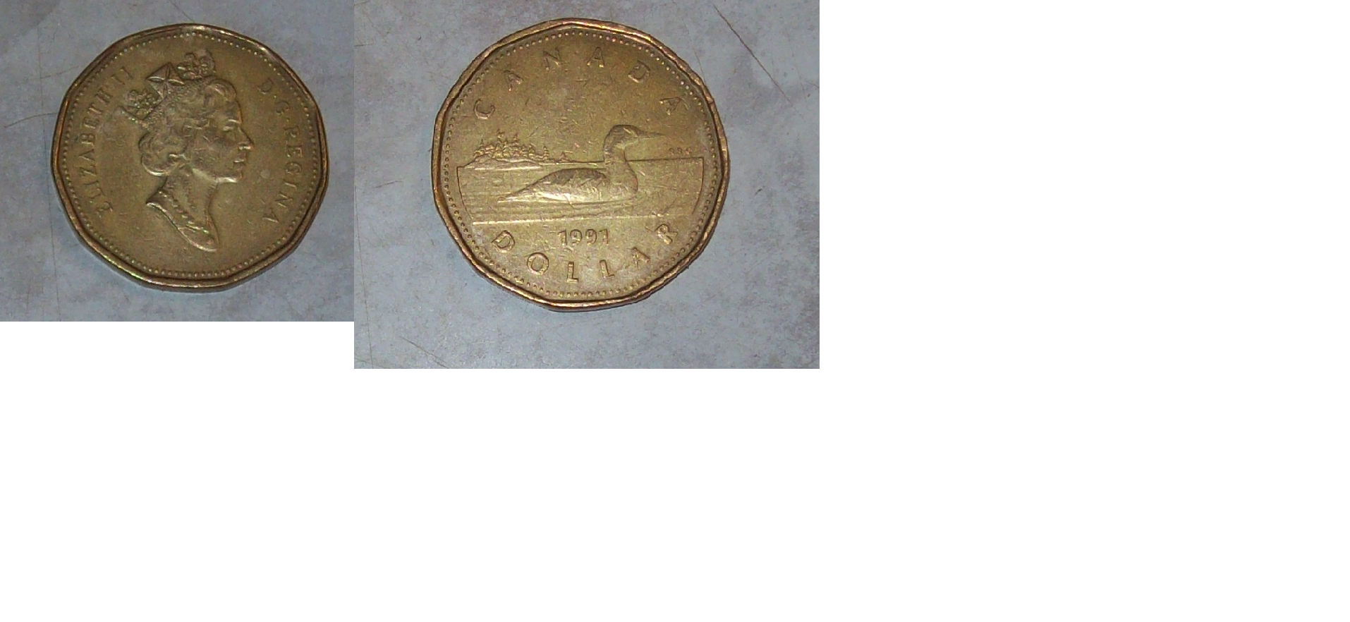 Loonie.png