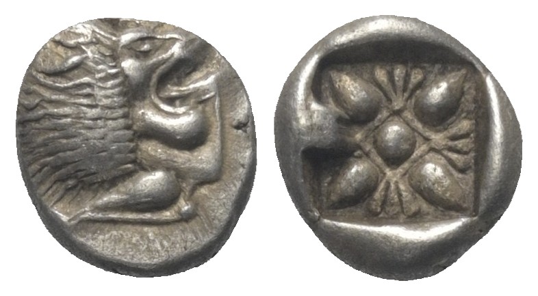 lot 123.jpg
