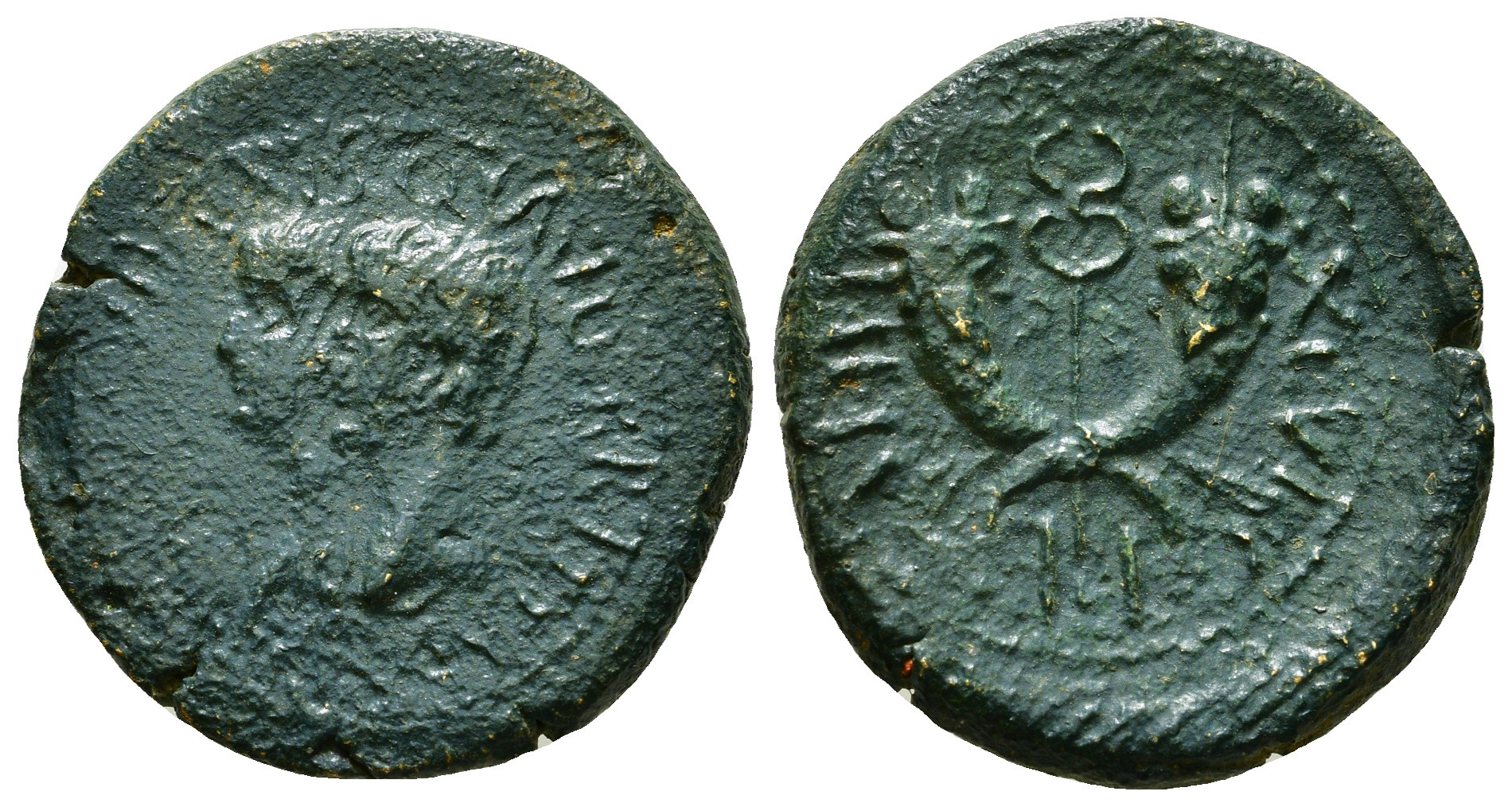 lot 215.jpg