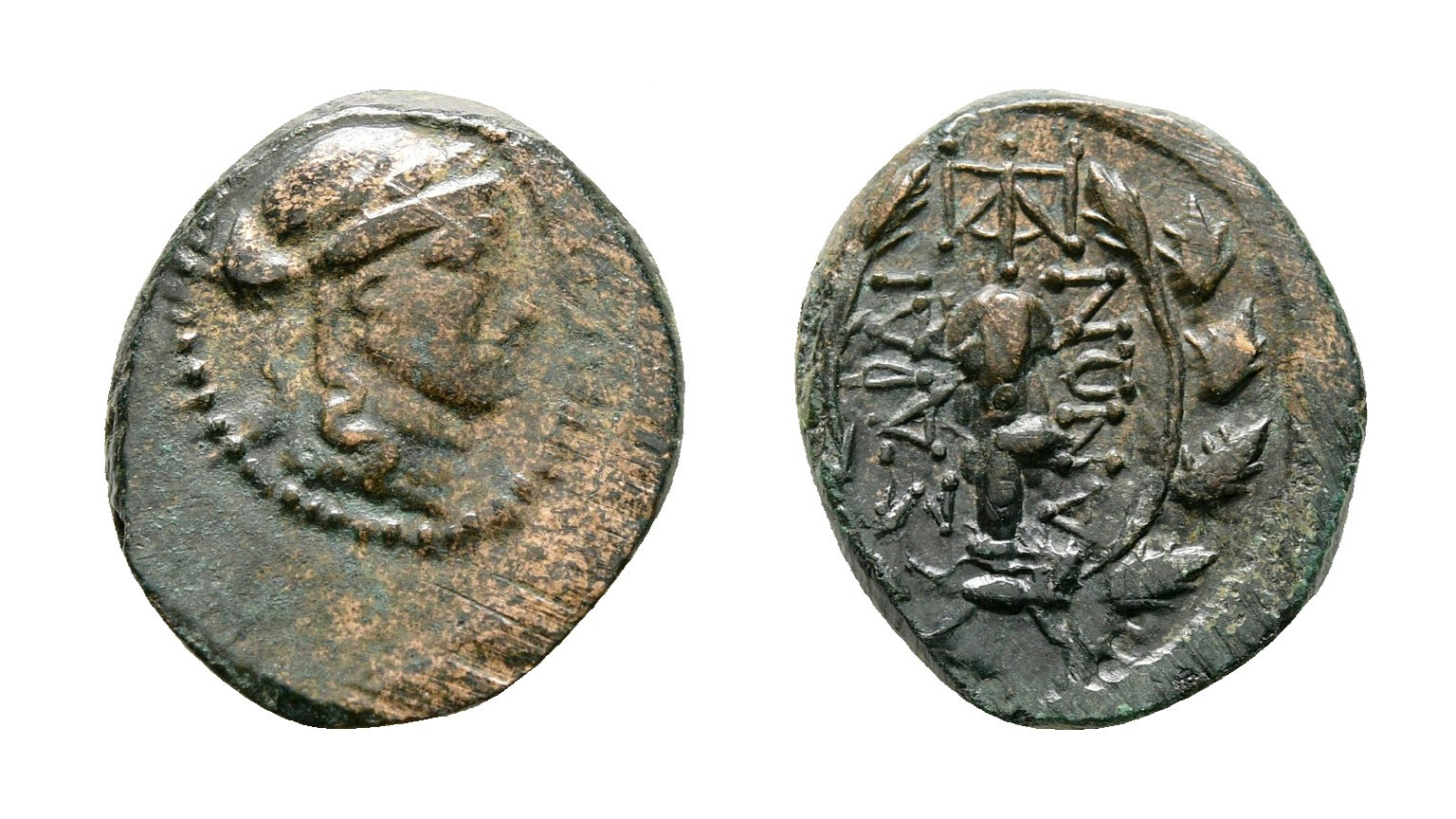 lot 239.jpg