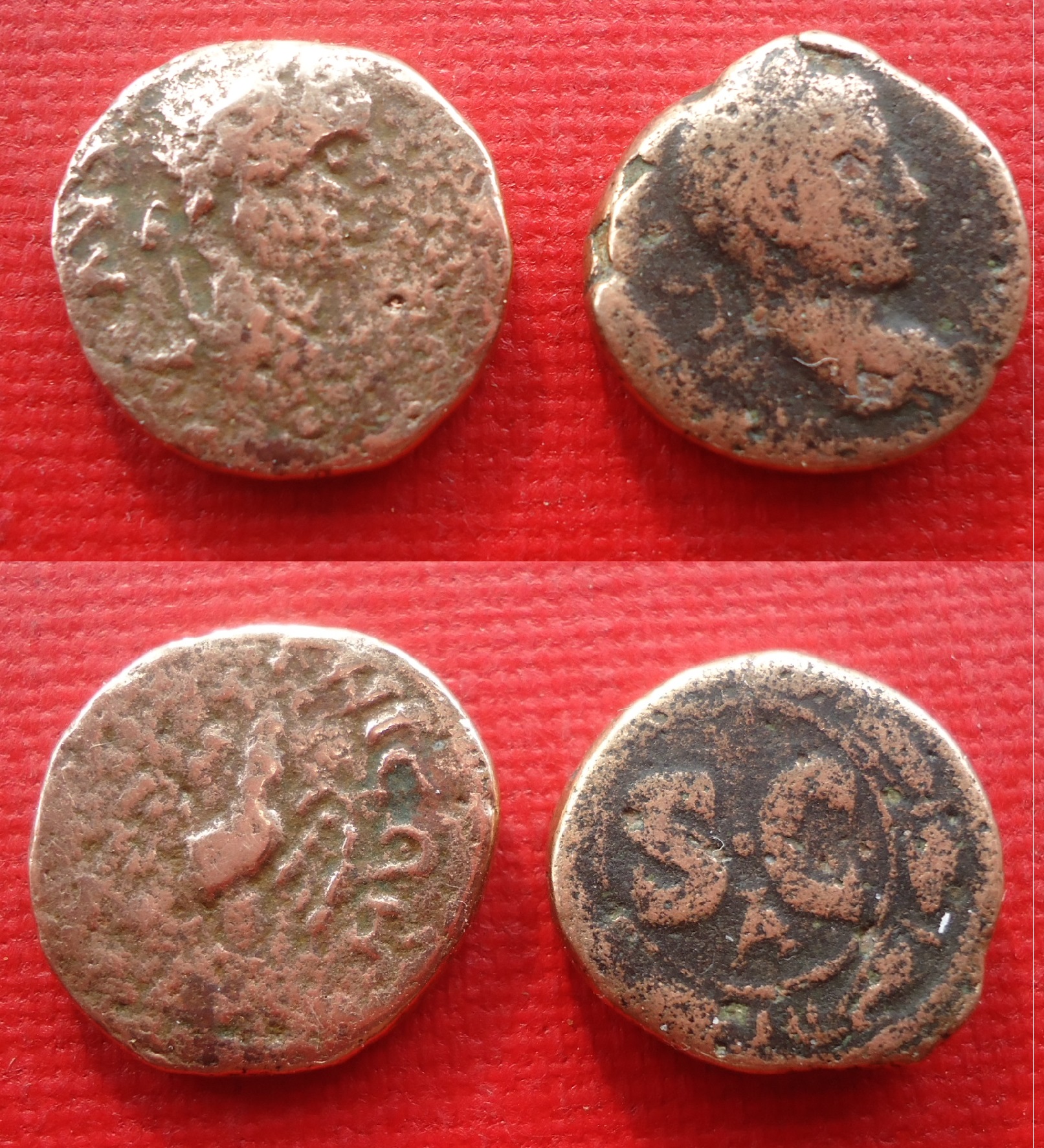 Lot - Almost Identified Nov 2018 (2).JPG