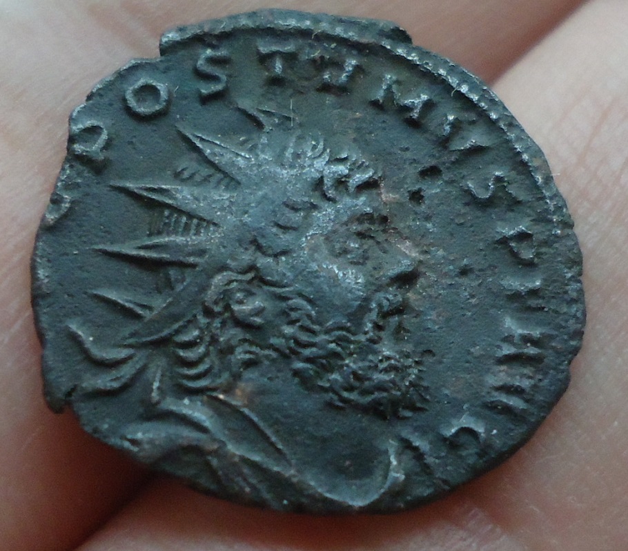 Lot - Aureolus (1).JPG
