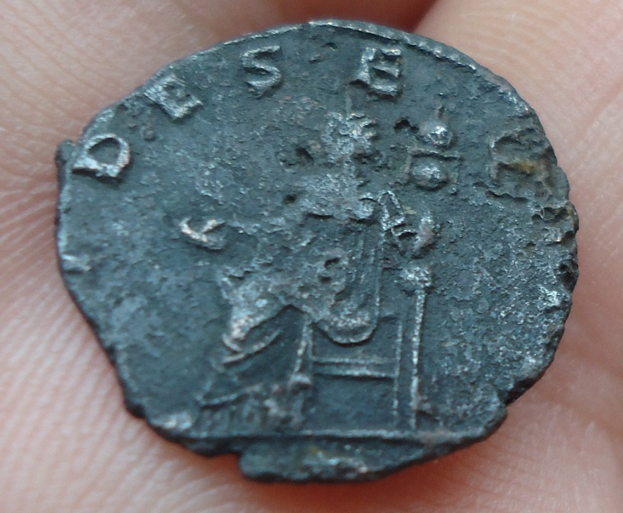 Lot - Aureolus (2).JPG